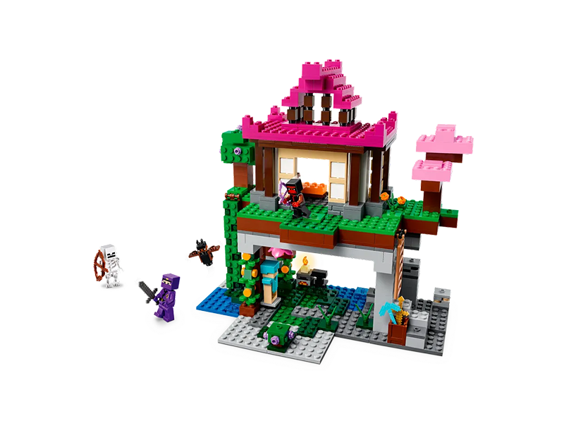 Collective Bricks - LEGO 21183 Minecraft The Training Grounds third image