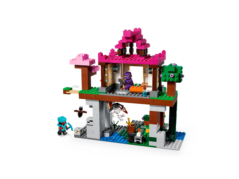 Collective Bricks - LEGO 21183 Minecraft The Training Grounds sixth image