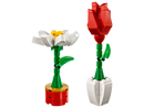 LEGO 40187 Classic Flower Display - My Hobbies