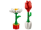 LEGO 40187 Classic Flower Display - My Hobbies