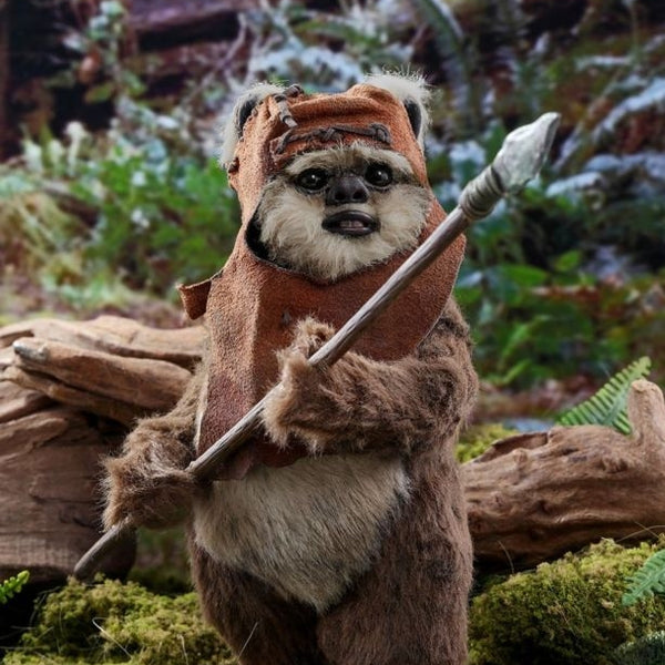 Hot toys deals wicket